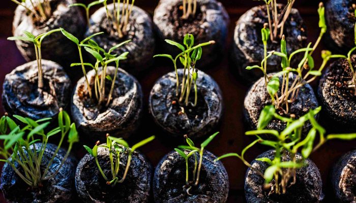 tom-jur-iH-dKBV2mZc-unsplash (1)